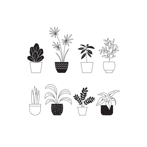 Conjunto Uma Linha Cores Ilustrações Diferentes Plantas Sala —  Vetores de Stock