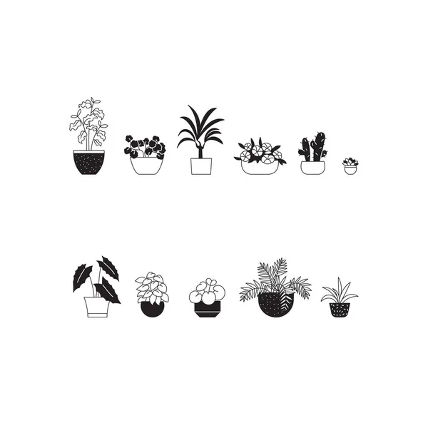 Ensemble Illustrations Une Ligne Couleur Différentes Plantes Intérieur — Image vectorielle