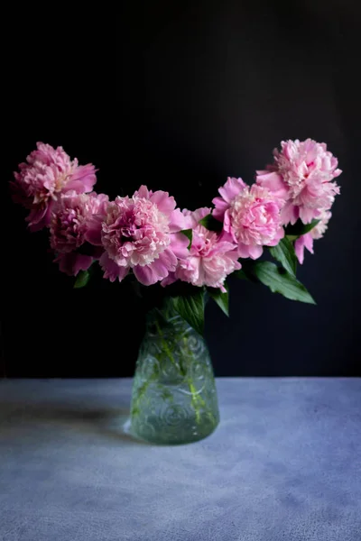 pink peonies blossom bouquet on dark background