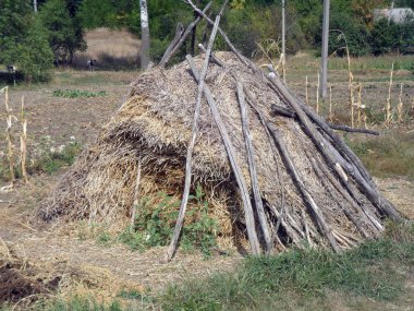 samanlık kırsal Ukrayna