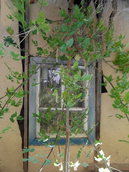 Antigua Casa Arcilla Abandonada —  Fotos de Stock