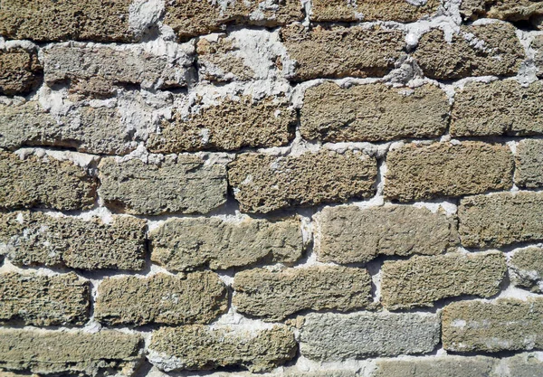 Texture Shell Rock Wall — Stock Photo, Image