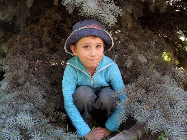 Μικρό Αγόρι Ποζάρει Κοντά Ένα Πάρκο Δέντρο — Φωτογραφία Αρχείου