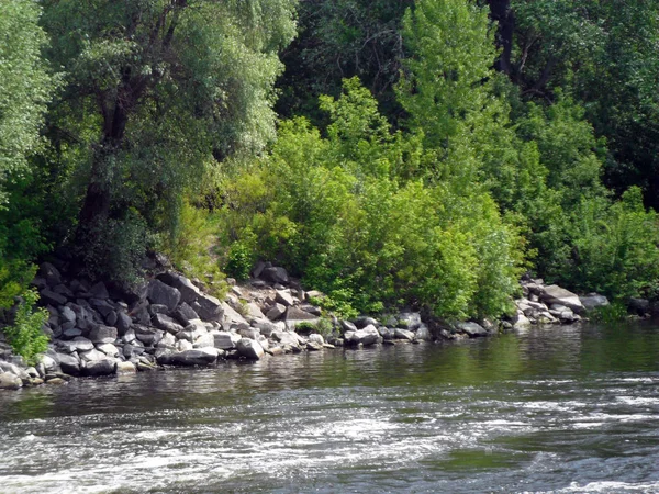 Fluss Vorskla Ufersteine Und Bäume Sommer Poltawa Ukraine — Stockfoto