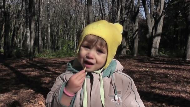 Garçon Manger Des Cookies Dans Parc Automne — Video