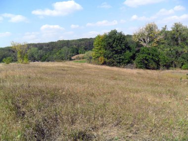 Geleneksel Avrupa kırsal manzara sonbahar