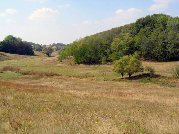 Tradizionale Paesaggio Rurale Europeo Autunno — Foto Stock