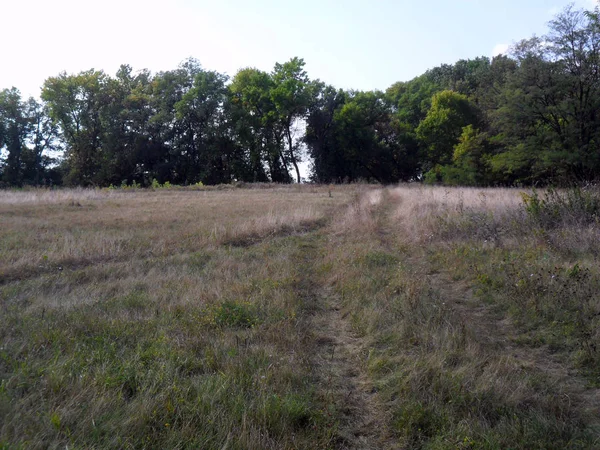 Tradiční Evropský Venkov Krajina Podzim — Stock fotografie