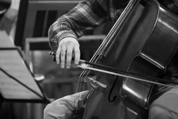 Musician hand playing the cello in black and white