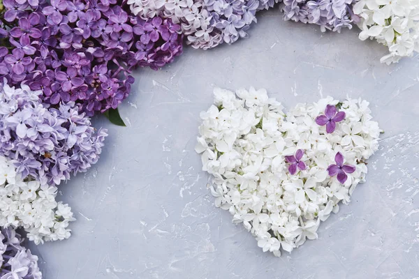 Foto Vicino Fiori Bianchi Viola Forma Cuore Sfondo Grigio Tavolo — Foto Stock