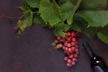 Kırmızı üzüm yaprakları ve şişe kırmızı şarap ile. Görünümü en çok, karanlık antika arka plan üzerinde Kapat