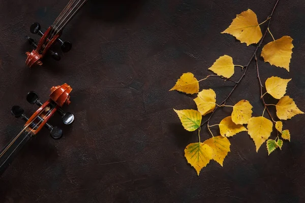 Two Violins Birch Branch Yellow Autumn Leaves Dark Vintage Background — Stock Photo, Image