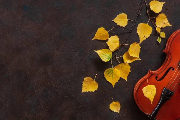 Old Violin Birch Branch Yellow Autumn Leaves Dark Vintage Background — Stock Photo, Image