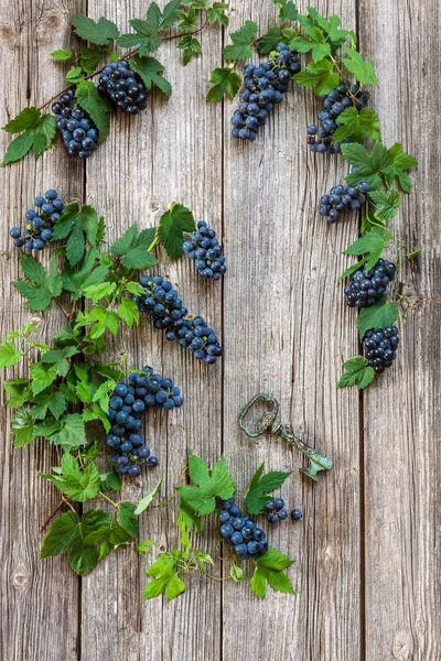 Uvas Azuis Cachos Com Folhas Saca Rolhas Forma Chave Sobre — Fotografia de Stock