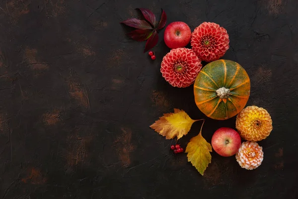 Yıldızçiçeği Elma Renk Sonbahar Arka Plan Koyu Taş Masanın Üzerine — Stok fotoğraf