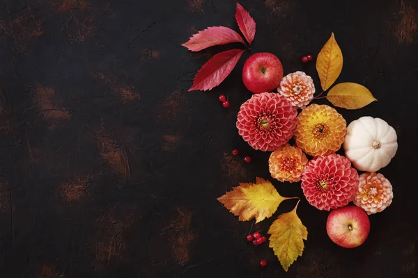 ダリア リンゴの色と秋の背景は暗い石のテーブルに残します コピー スペース平面図 — ストック写真