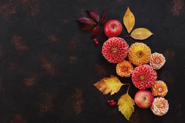 Hösten Bakgrund Med Dahlia Äpplen Och Färg Lämnar Mörka Stenbord — Stockfoto