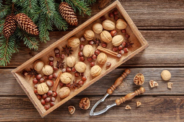 Jul Bakgrund Med Fir Tree Grenar Kottar Blandade Nötter Och — Stockfoto