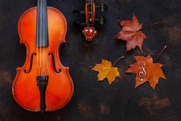 Old Violin Yellow Autumn Maple Leaves Black Background — Stock Photo, Image