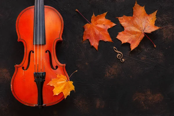 Old Violin Yellow Autumn Maple Leaves Black Background — Stock Photo, Image