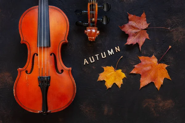 Old Violin Yellow Autumn Maple Leaves Black Background — Stock Photo, Image