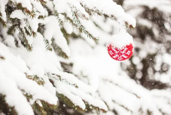 Noel Köknar Ağacı Kırmızı Topu Ile Dekorasyon — Stok fotoğraf