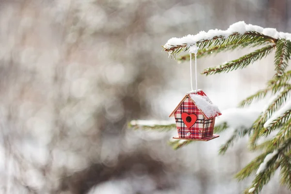 Noel Köknar Ağacı Ile Içe Geçmiş Kutusu Üzerinde Dekorasyon — Stok fotoğraf