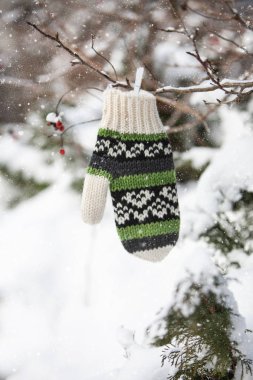 Winter decoration with mitten on tree branches with red berries