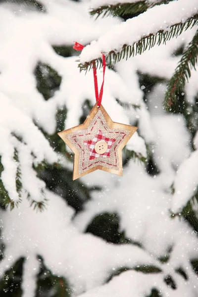 Noel Yıldızı Karlı Köknar Ağacı Dalı Üzerinde Dekorasyon — Stok fotoğraf