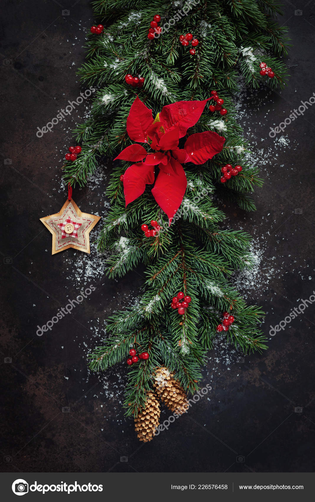 圣诞节假期的背景与冷杉树枝和锥与一品红和红色浆果在黑暗的背景顶级景观圣诞节和新年概念——图库图片© EllyGri #226576458