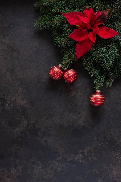 暗いコンクリート背景 平面図 クリスマスと新年の概念にポインセチアと赤のボールでクリスマス ツリーの枝 — ストック写真