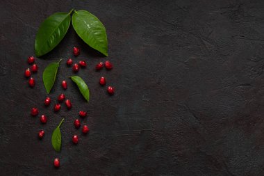 Karanlık beton zemin üzerine Pomergranate. Görünümü en çok, yakın çekim