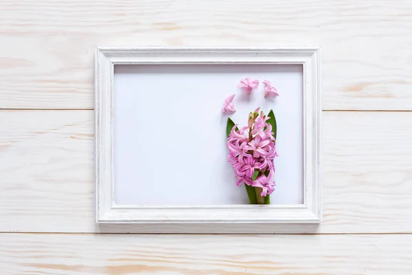 Λευκή Ξύλινη Κορνίζα Ροζ Υάκινθου Κάτοψη Γκρο Πλαν Επίπεδη Θέσει — Φωτογραφία Αρχείου
