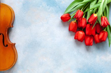 Eski keman ve kırmızı lale buketi. Sevgililer günü, 8 Mart kavramı. Üstten görünüm, mavi gökyüzü beton zemin üzerine yakın çekim