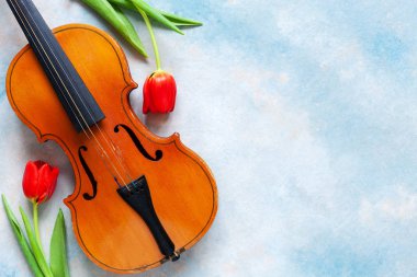 Old violin and two red tulips. Valentine day, 8 March concept. Top view, close-up on blue sky concrete background	 clipart