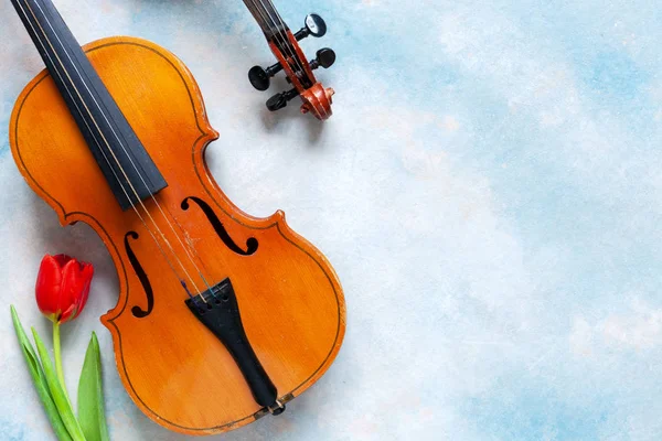 Zwei Alte Geigen Und Eine Rote Tulpe Valentinstag März Draufsicht — Stockfoto