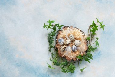 Paskalya dekorasyon - doğal bıldırcın yumurtası ve yeşil sarmaşık yaprakları. Görünüm sayfa, yakın çekim, düz hafif beton arka plan üzerinde yatıyordu