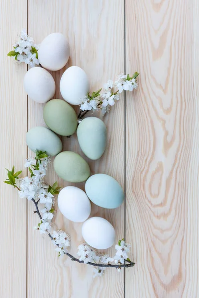 Свіжі курячі барвисті яйця та вишневі квіти на білому дереві — стокове фото