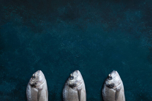 Свежая рыба Дорадо на синем столе. Вид сверху, пространство для копирования
. 