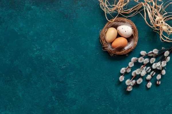 Decorazione pasquale Uova di Pasqua nel nido e nella figa salice . — Foto Stock