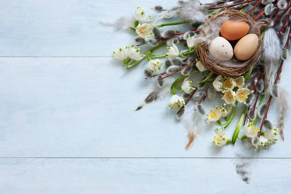 Décoration de Pâques Oeufs de Pâques dans le nid et chatte saule et s — Photo