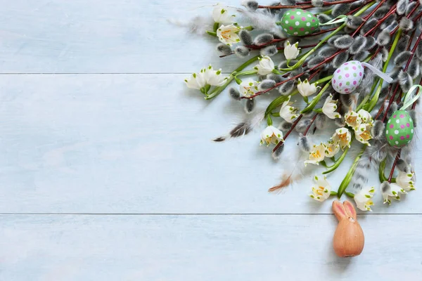 Decorazione pasquale Uova di Pasqua, micio salice e bucaneve. Top v — Foto Stock