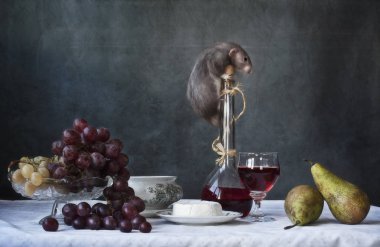 Bir şişe şarap meyve ve peynir ile şirin küçük gri sıçan. 