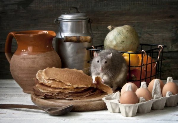 Симпатичная серая крыса ест домашние блинчики. Натюрморт — стоковое фото