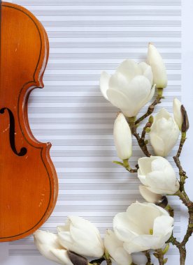  Beyaz Not pa üzerinde eski keman ve çiçek açması Manolya brances