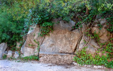 Ivy ile büyümüş eski taş duvarının yakınında taş tezgah 