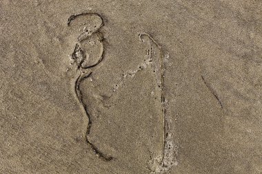 Islak kum arka plan dokusu üzerinde ince yosun deseni oluşturulan fr