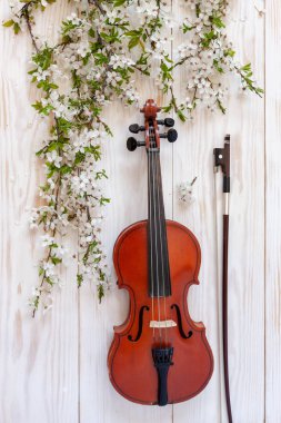 Old violin with fiddlestick and blossoming cherry tree branches. clipart