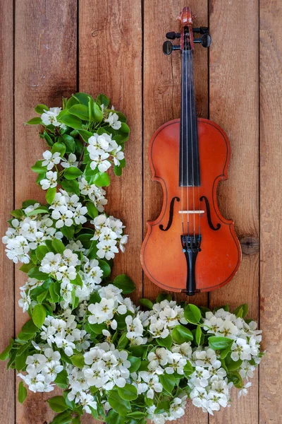 Old violin and blossoming apple tree branches. Top view, close-u — Stock Photo, Image