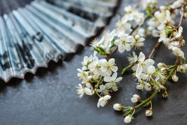 Foto de cerca de Hermosas ramas de cerezo florecientes blancas — Foto de Stock